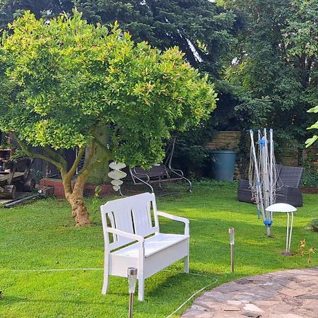 Bungalow An Der Tanne Mit Ueberdachter Terrasse Дюселдорф Екстериор снимка
