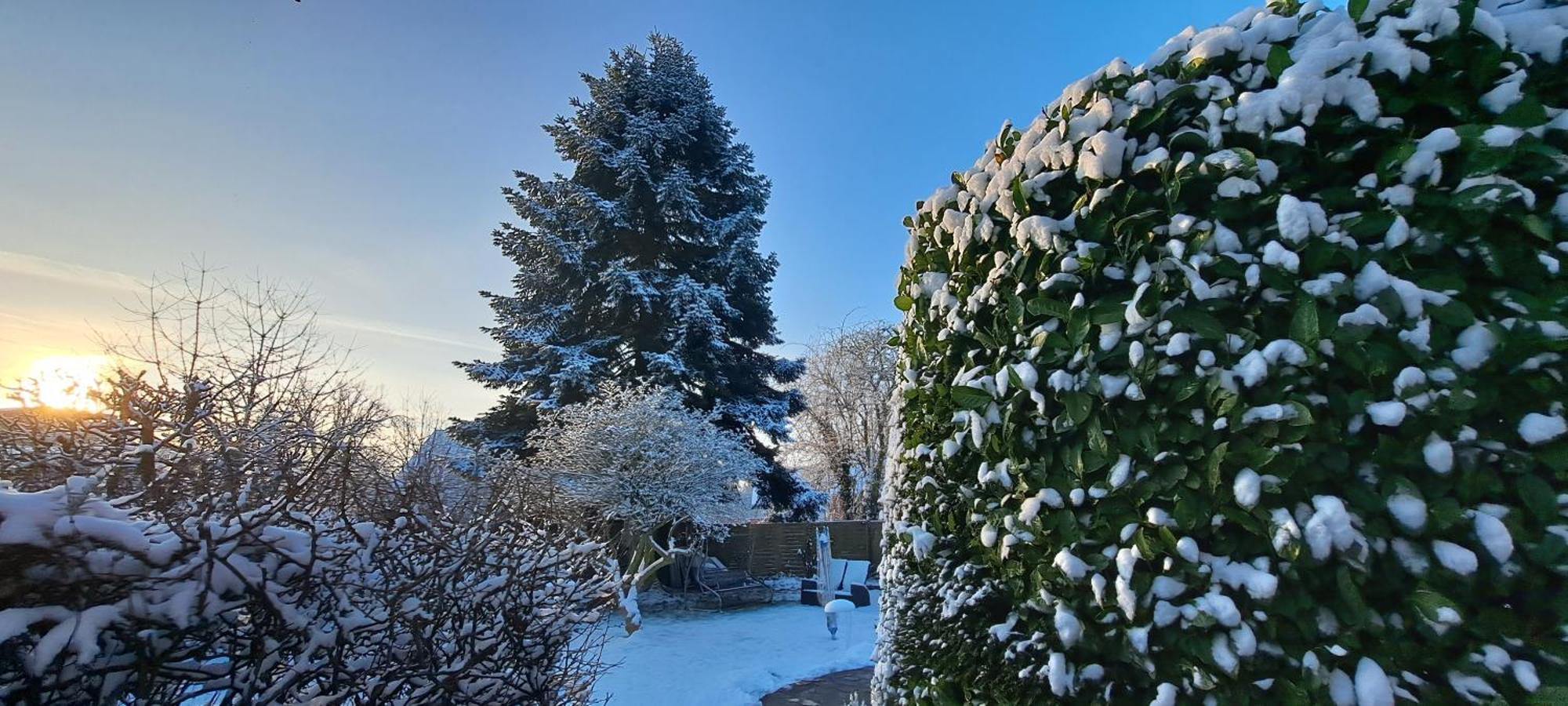 Bungalow An Der Tanne Mit Ueberdachter Terrasse Дюселдорф Екстериор снимка