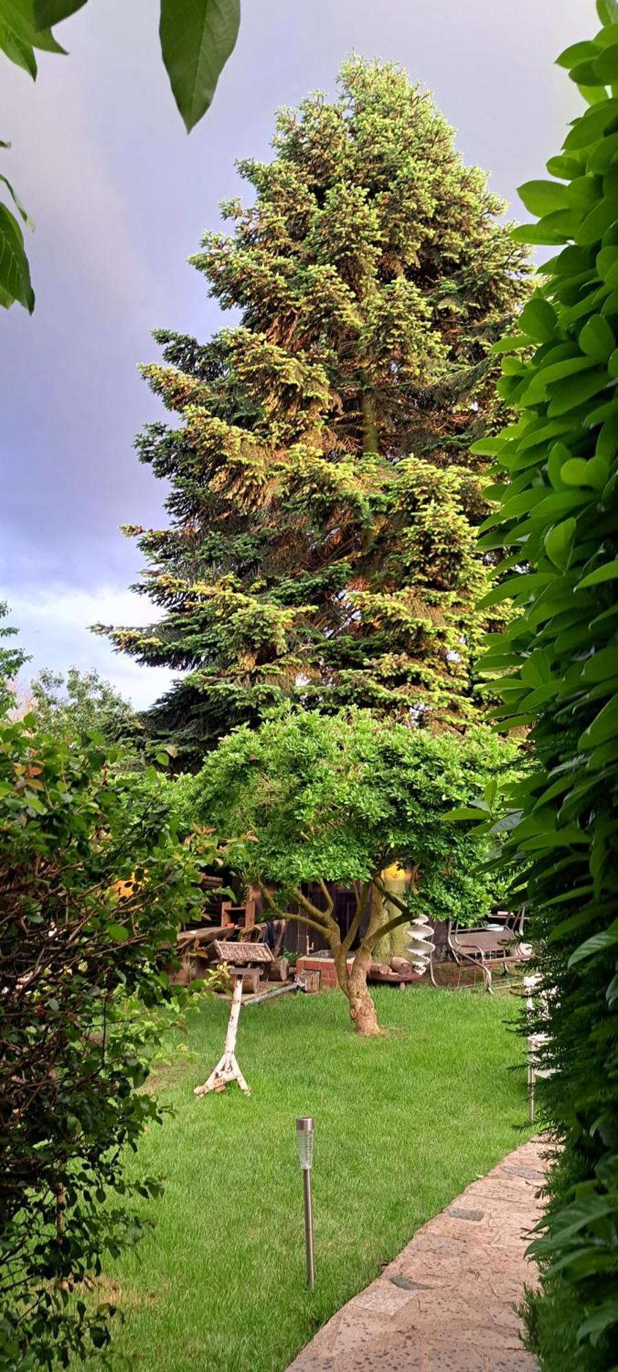 Bungalow An Der Tanne Mit Ueberdachter Terrasse Дюселдорф Екстериор снимка